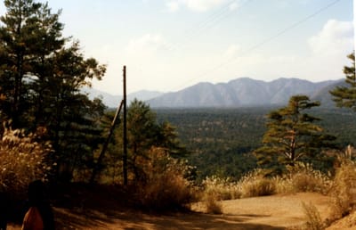 img023_2.jpg