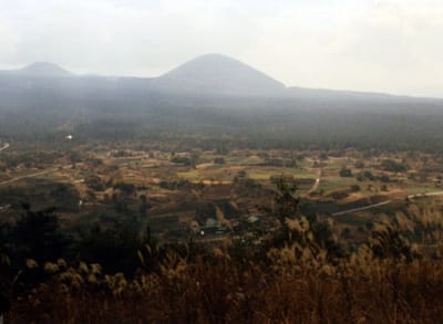 img026_1.jpg