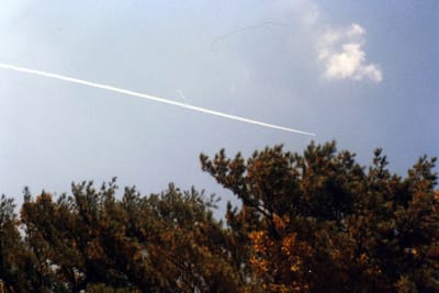 img027_1.jpg