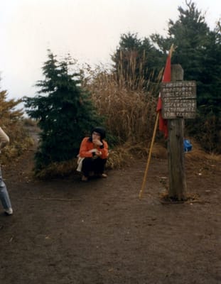 img029_1.jpg