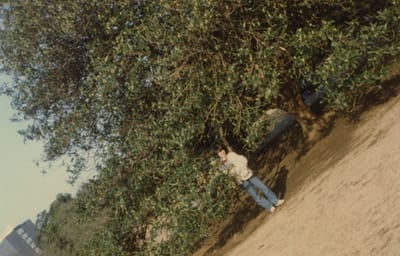 img101_4.jpg