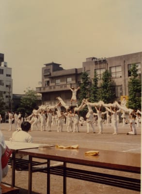 img036_1.jpg