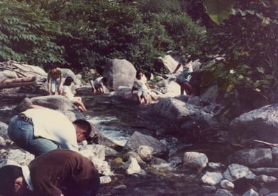 img043_5.jpg