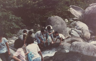 img043_7.jpg