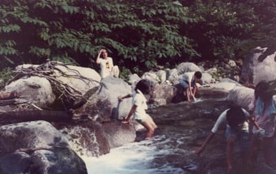 img043_8.jpg