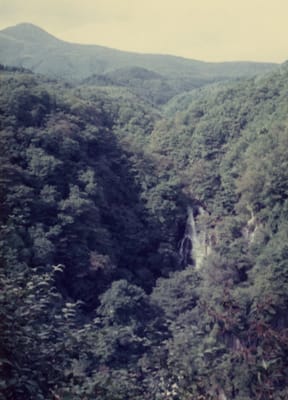 img024_3.jpg