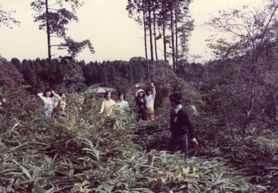 img030_1.jpg