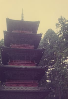 img033_1.jpg