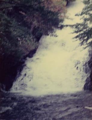 img033_5.jpg