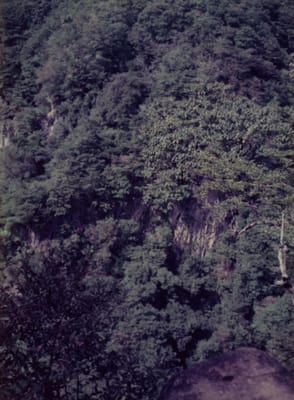 img034_1.jpg
