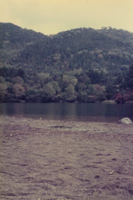 img035_3.jpg